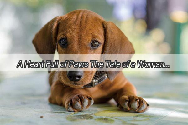 A Heart Full of Paws The Tale of a Woman and Her FourFooted Companions